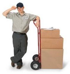 Inside Delivery Fee [100] Office Star 100